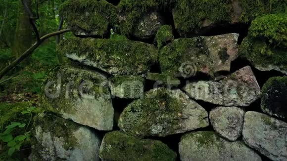 穿越中世纪的森林石墙视频的预览图