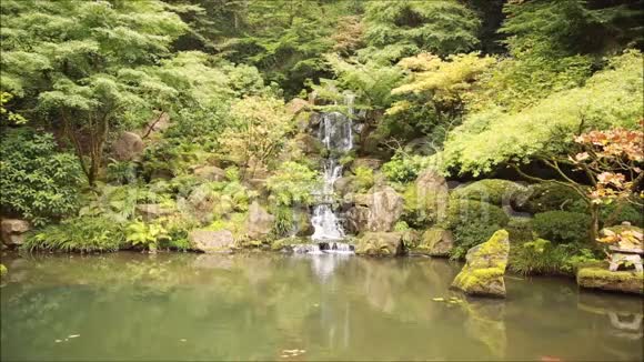 日本花园里的瀑布视频的预览图