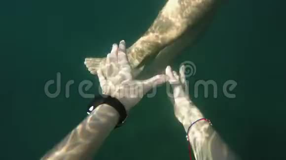 白种人女孩的手在水里用蓝色的泳裤抓住白种人腿视频的预览图