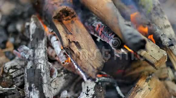 在树林里的户外露营火视频的预览图