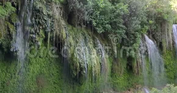 观赏美丽的库尔孙鲁瀑布有许多植物生长4K视频的预览图