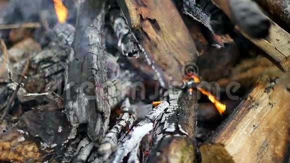 在树林里的户外露营火视频的预览图