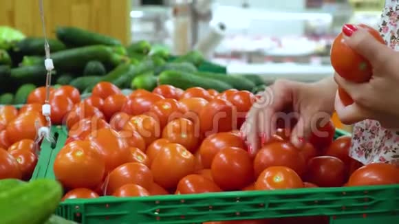 近距离拍摄女性手选美味西红柿视频的预览图