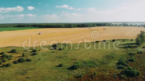 鸟瞰联合收割机收集小麦收获粮田作物季节4K美丽的自然空中视频的预览图