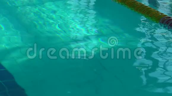 女孩游泳者在游泳池里潜水女游泳运动员潜入游泳池游泳上景视频的预览图