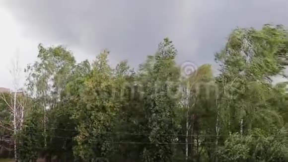 最强烈的飓风开始了德弗洛伊德树枝在强烈的狂风下弯曲从树上撕下来的苍蝇叶子视频的预览图