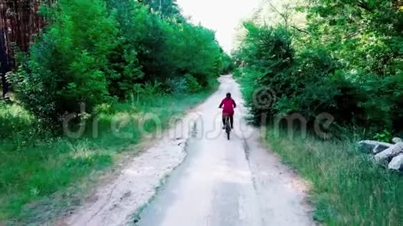 女孩骑着自行车在一个晴朗的日子里被绿色的树木包围俯视着在树林里骑自行车的女人视频的预览图