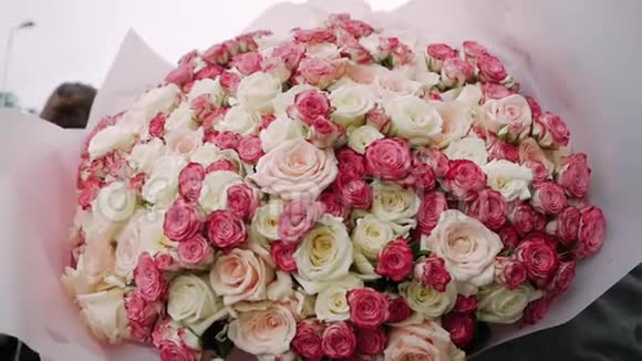 一大束白色和粉红色的玫瑰视频的预览图