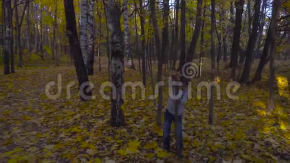 男孩摇动一棵树使黄叶飘落视频的预览图