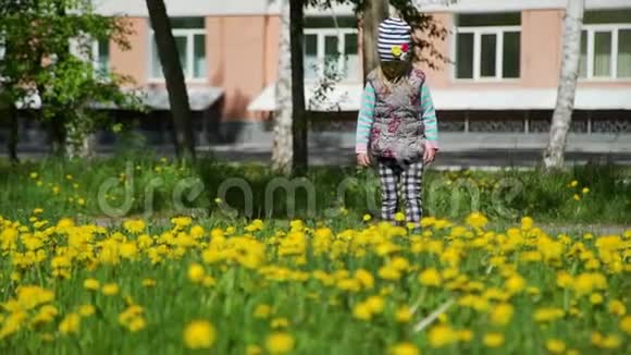 春天蒲公英田野上的小女孩视频的预览图