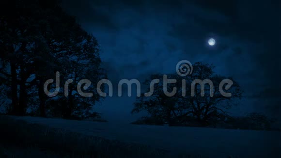 田野和树木夜晚飘过云彩视频的预览图