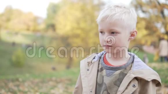 一个英俊的男孩把秋天的落叶抛在头上视频的预览图