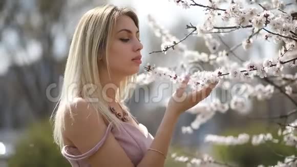一个年轻的女人触摸一棵杏树的开花枝视频的预览图
