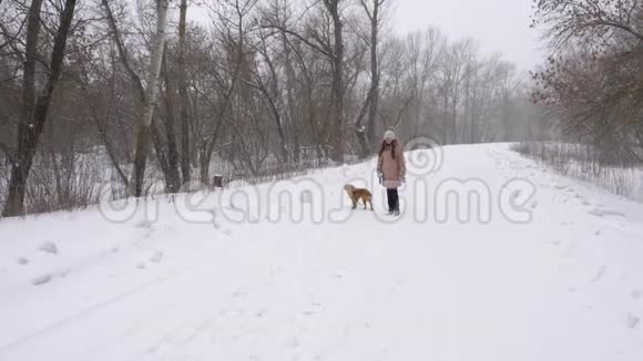 快乐的女孩和她最喜欢的狗在暴风雪中奔跑和大笑动作缓慢视频的预览图