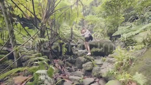 在绿色丛林背景下热带森林里的岩石上行走的旅游妇女在热带雨林中旅行的年轻女子视频的预览图