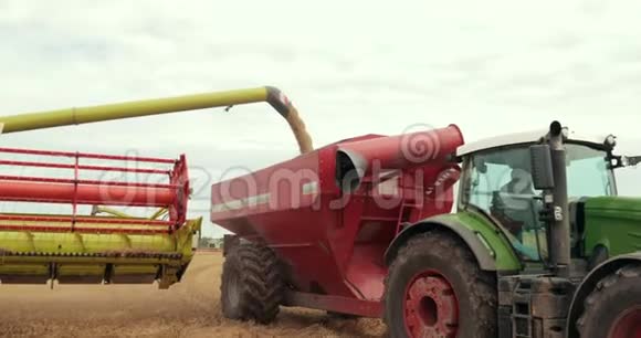收割者卸下小麦在田间拖拉机拖车槽中超载粮食收割机道具慢动作视频的预览图