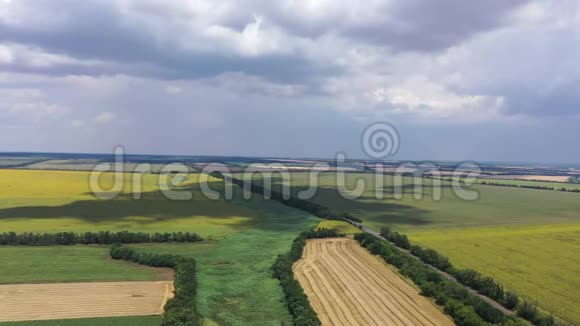 乡村景观你可以看到麦地和向日葵的鸟瞰图视频的预览图