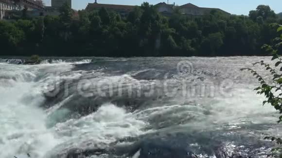 瑞士沙夫豪森的莱茵瀑布莱茵瀑布莱茵瀑布是欧洲最大的瀑布视频的预览图