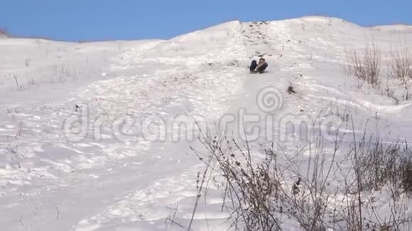 女孩正在雪中用雪橇高速下山冬天在公园里玩的快乐女孩视频的预览图