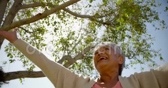 活跃的非裔美国老年妇女在养老院花园里做瑜伽的低角度视角视频的预览图