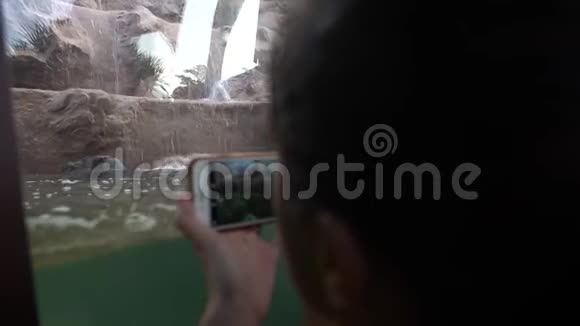 4K亚洲女人用电话拍照俾格米河马在动物园游泳视频的预览图