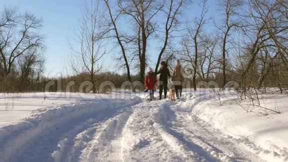 美丽的女人带着孩子和狗在冬天阳光明媚的圣诞节在公园散步视频的预览图