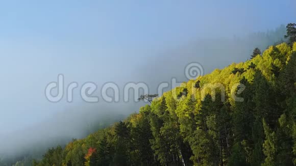 秋天山上朦胧的早晨云雾在森林上空迅速升起时间表视频的预览图