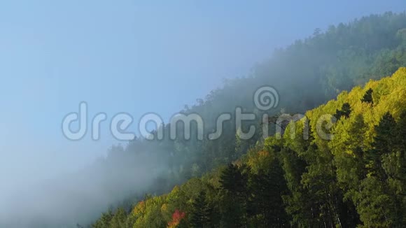 秋天山上朦胧的早晨云雾在森林上空迅速升起时间表视频的预览图