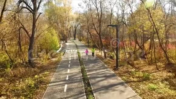 男人和女人早上在秋天公园慢跑视频的预览图