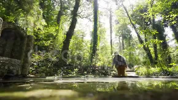 女人近水绿林视频的预览图