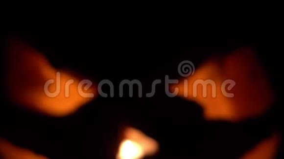 万圣节南瓜在黑色背景下飞舞视频的预览图