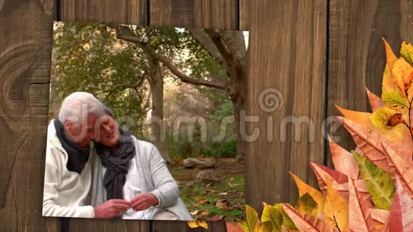 秋天的树叶和屏幕显示浪漫的老夫妇坐在森林里视频的预览图