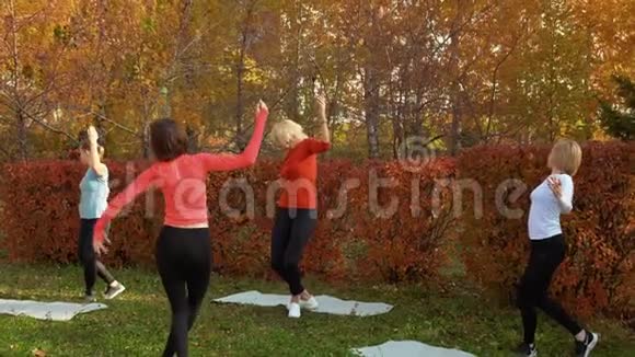 健身女子训练港德胸罩运动在秋季公园女子组练习户外健身运动妇女视频的预览图