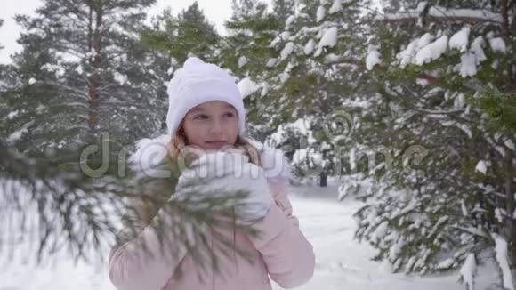冬天森林里喝热茶的小女孩视频的预览图