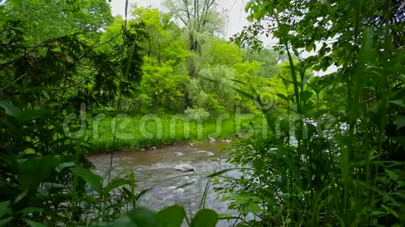 夏季森林树木环绕的美丽流动河流的高角度视图从特雷琳河岸看视频的预览图