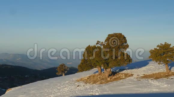 冬天的风景人类雪上的影子视频的预览图