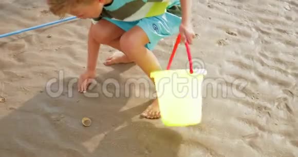 在海滩上捡贝壳视频的预览图