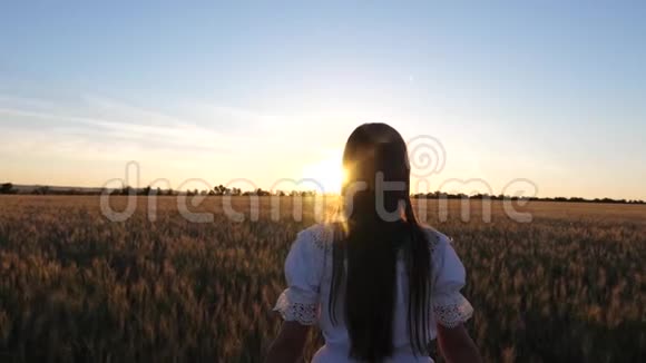 快乐的孩子在田野里散步快乐的女孩带着黄色的小麦走过田野用手摸着麦穗视频的预览图