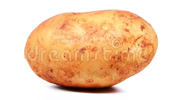新鲜的生土豆在白色背景上有少量的泥视频的预览图