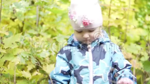 一个快乐的小女孩站在灌木丛中挑衅地笑着视频的预览图