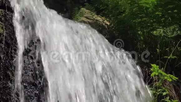 在阳光充足的夏季天气下可近距离观赏瀑布的冷水流视频的预览图