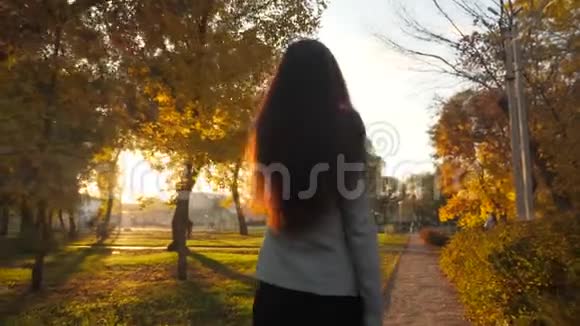 商务女性带着公文包穿过日落时分的公园视频的预览图