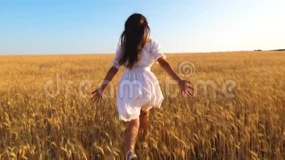 一个长着长发的瘦女孩穿过一片成熟的麦子慢悠悠地走着视频的预览图