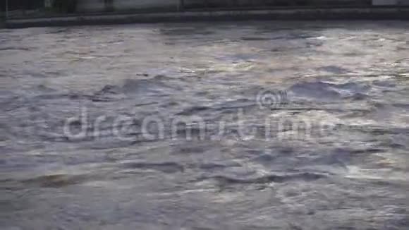 靠近一条涨潮的河流在那里木头漂浮视频的预览图