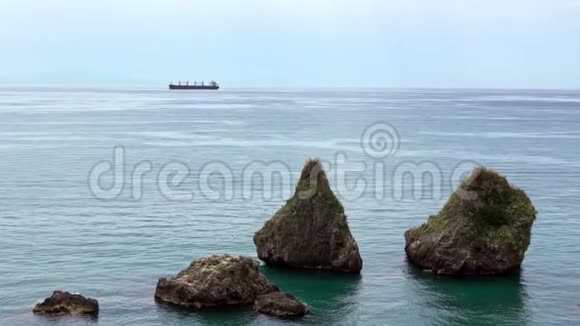 意大利海洋慢动作自然场景常见的海鸥在岩石上飞翔视频的预览图