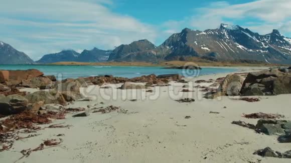 夏季的海岸和海滩洛福顿群岛挪威旅游景点视频的预览图