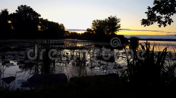 夏天的日出或日落景色平静的池塘和湖水清晨宁静的自然景观视频的预览图