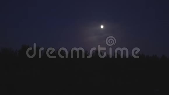 令人惊叹的黑暗景色薄雾罕见的幽灵般的日落明亮的月亮在森林树林之上视频的预览图