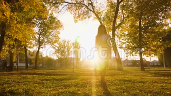 商务女性带着公文包在日落时分穿过公园视频的预览图