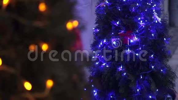 两棵圣诞树上装饰着蓝色圣诞树玩具和圣诞装饰品视频的预览图
